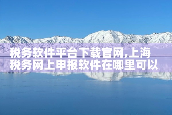 税务软件平台下载官网
