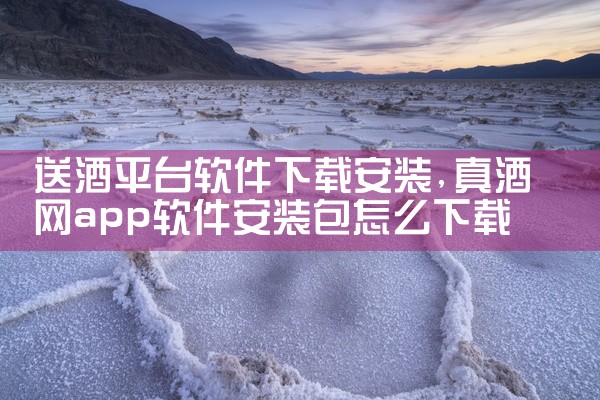 送酒平台软件下载安装