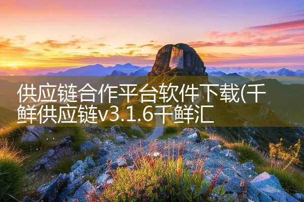 供应链合作平台软件下载