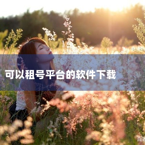 这是一款名为租号玩的软件应用,名称标注为官方版和最新版。租号玩通常指提供游戏账号租赁服务的平台,用户可通过该软件租用或出租游戏账号,以便体验不同游戏或满足特定需求。官方版表明资源来自官方渠道,最新版则,