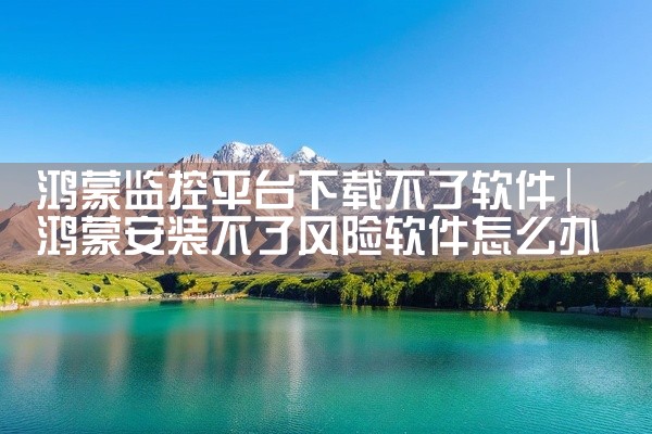 鸿蒙监控平台下载不了软件