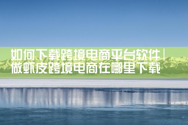 如何下载跨境电商平台软件
