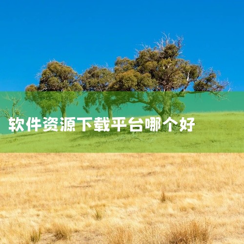 软件下载平台中，Softpedia、FileHippo以及CNET Download等都是不错的选择。这些平台都以其软件资源丰富、...|